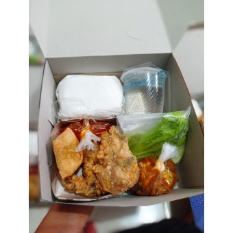 nasi-kotak